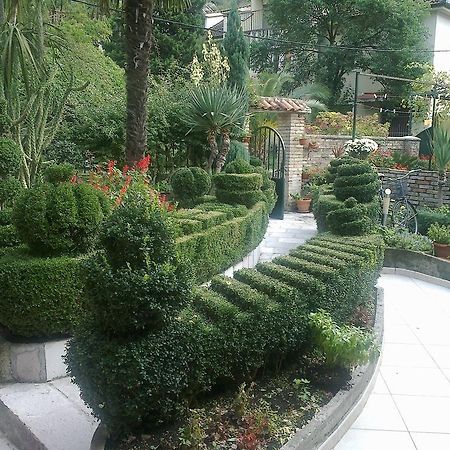 Apartment City Garden Kotor Rum bild