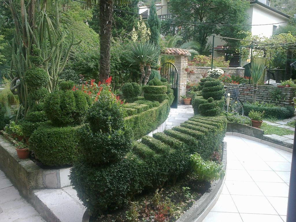 Apartment City Garden Kotor Rum bild