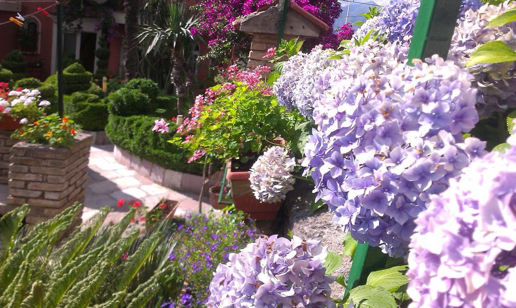 Apartment City Garden Kotor Rum bild